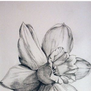 Meet your Posher, Summer